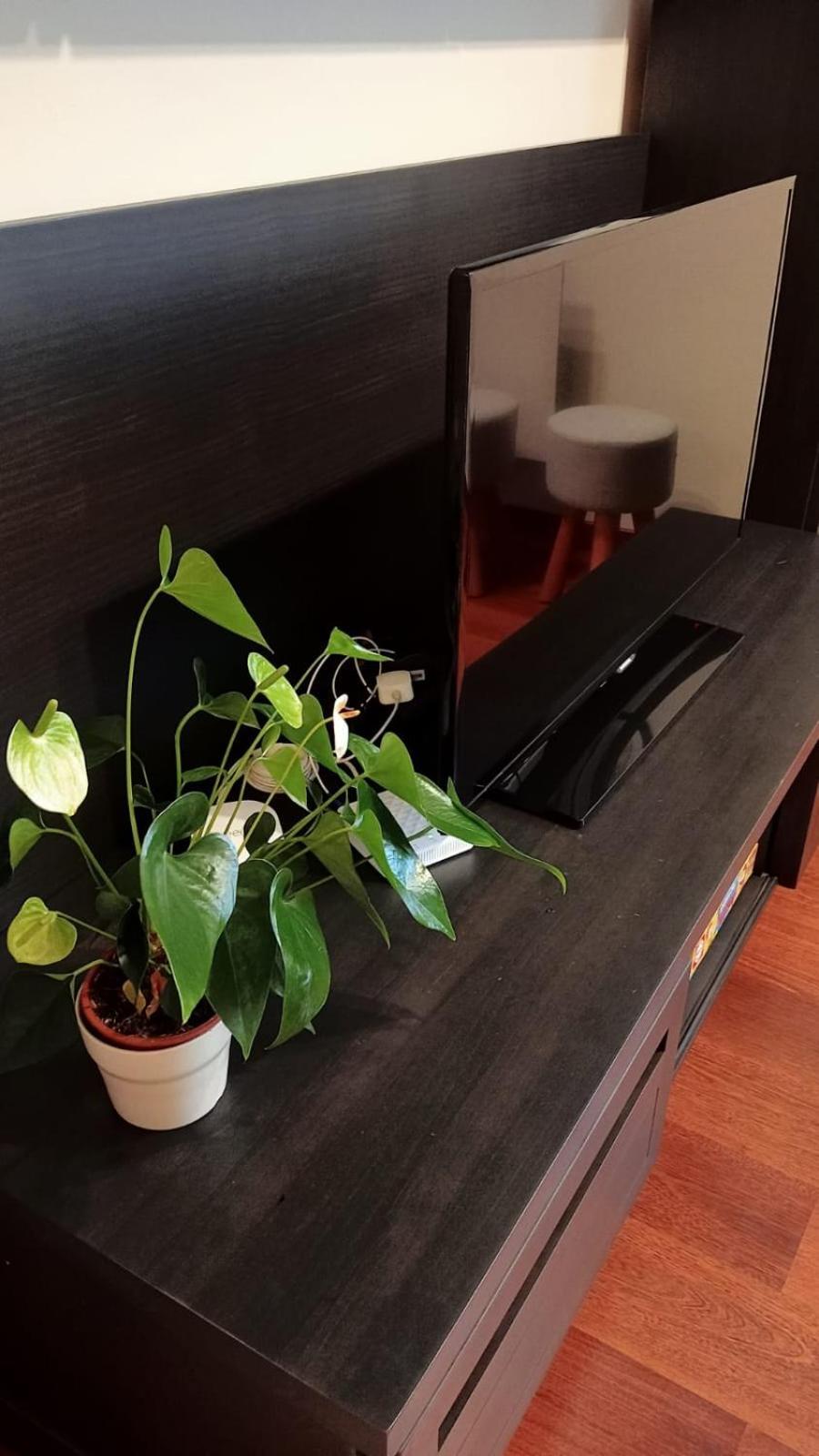 Apartamentos La Blanca Nueva De Llanes Eksteriør billede